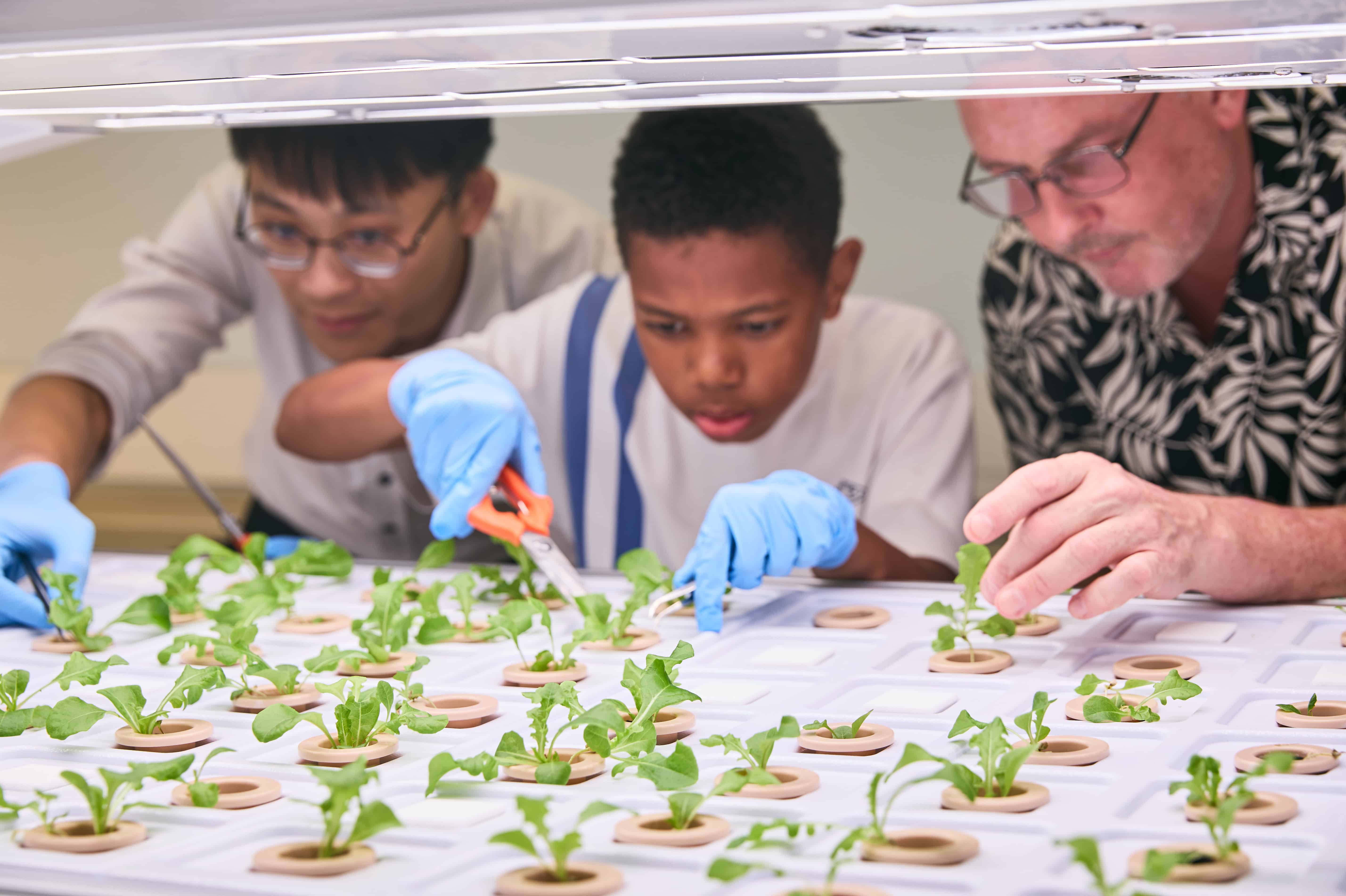 St. Margaret's Co-ed English Secondary and Primary School’s Sharing