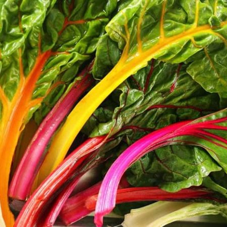Chard, Swiss Rainbow 瑞士甜菜
