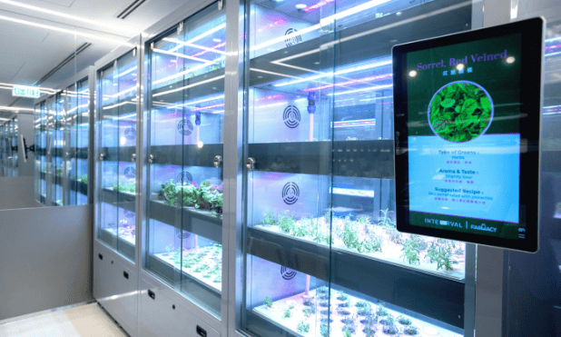 Smart Farm Lab in SEED by Farmacy