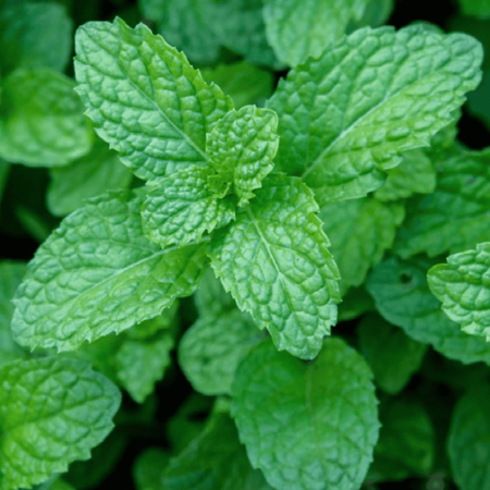 Snipaste_2025-07-11_13-26-23